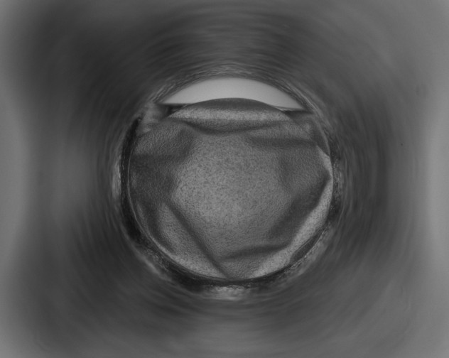 X0000086730158200705111622