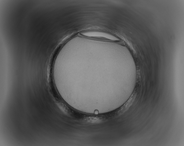 X0000086730159200705111622