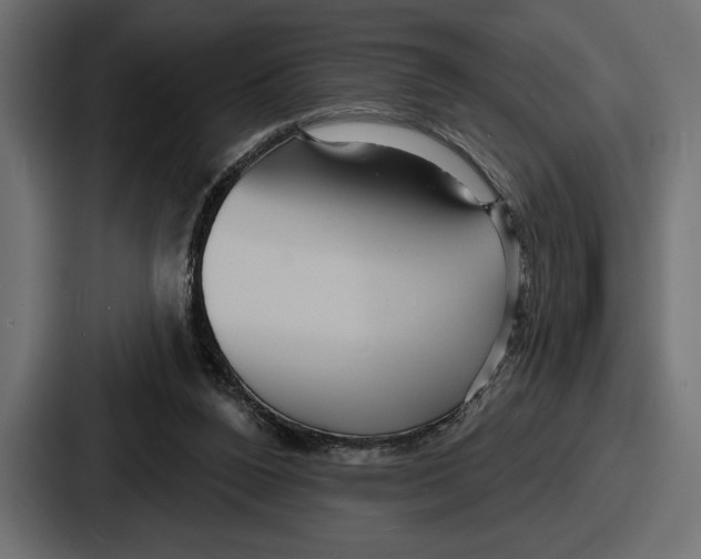 X0000086730160200705111622