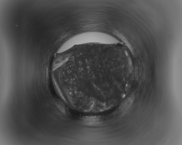 X0000086730161200705111622