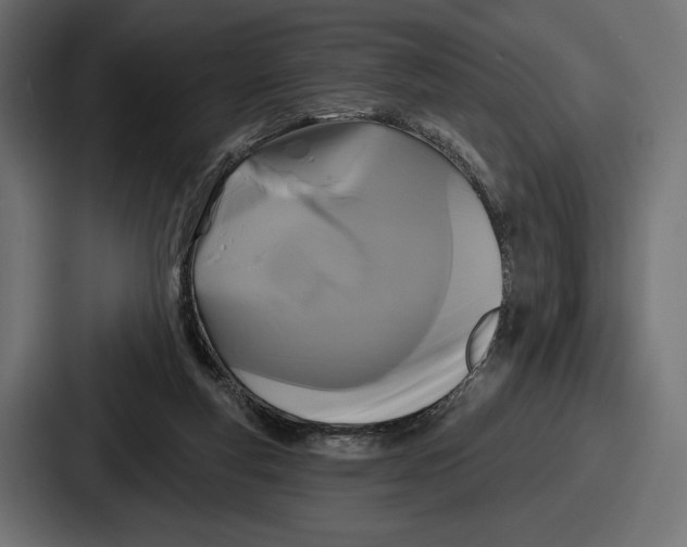 X0000086730163200705111622
