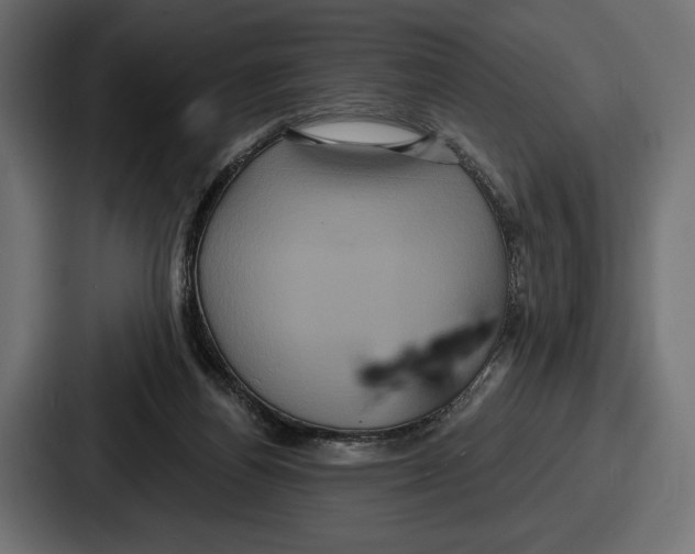 X0000086730164200705111622