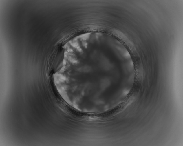 X0000086730165200705111622
