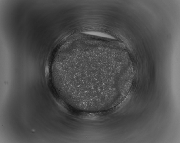X0000086730166200705111622
