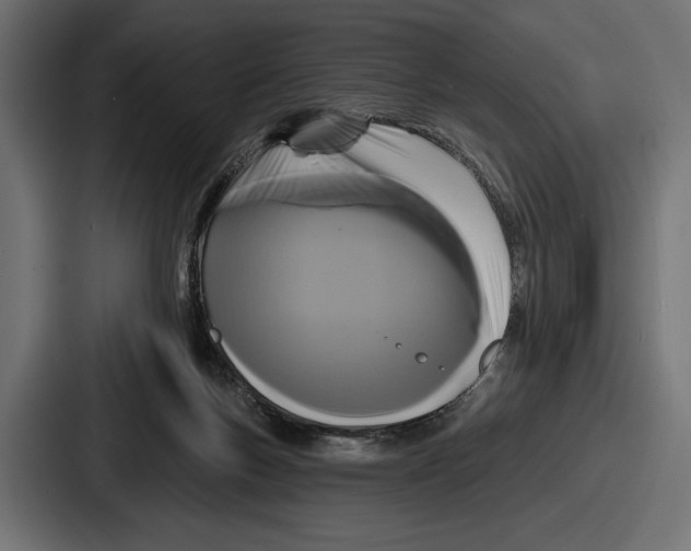 X0000086730167200705111622