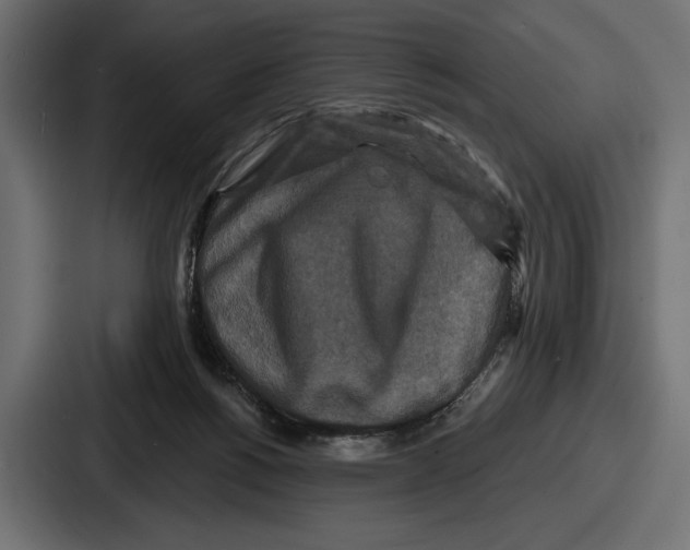 X0000086730168200705111622