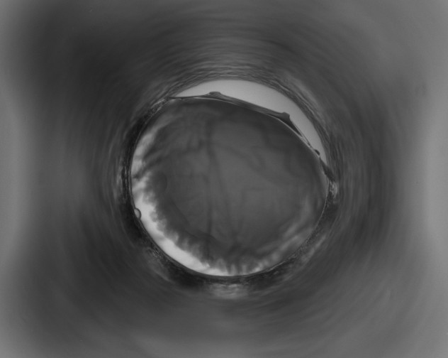 X0000086730169200705111622
