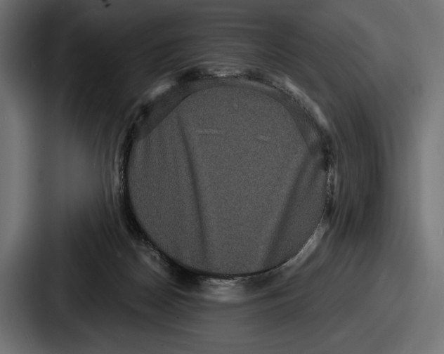 X0000086730170200705111622