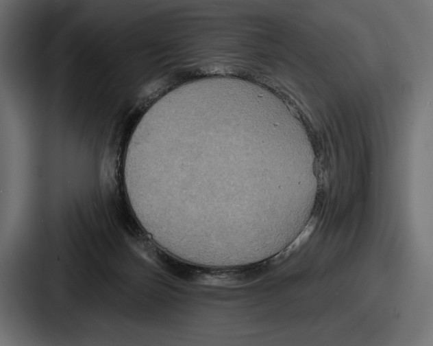 X0000086730171200705111622