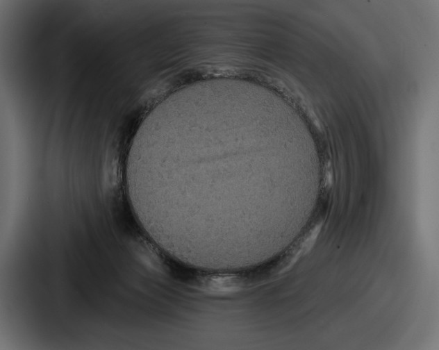 X0000086730173200705111622