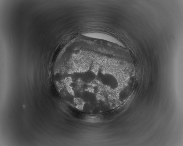 X0000086730175200705111622