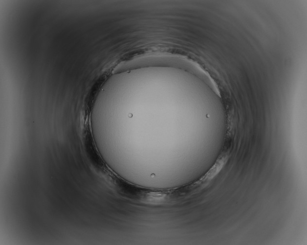 X0000086730176200705111622