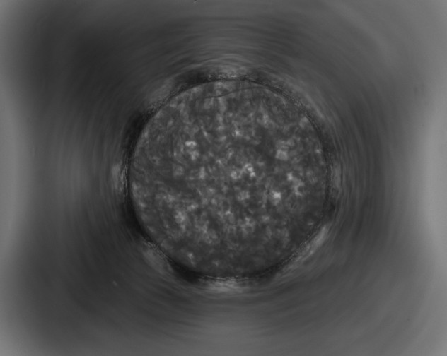 X0000086730177200705111622