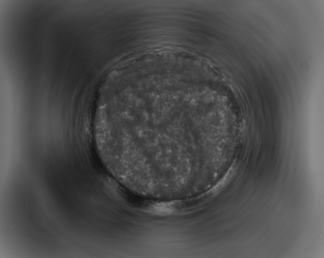X0000086730178200705111622