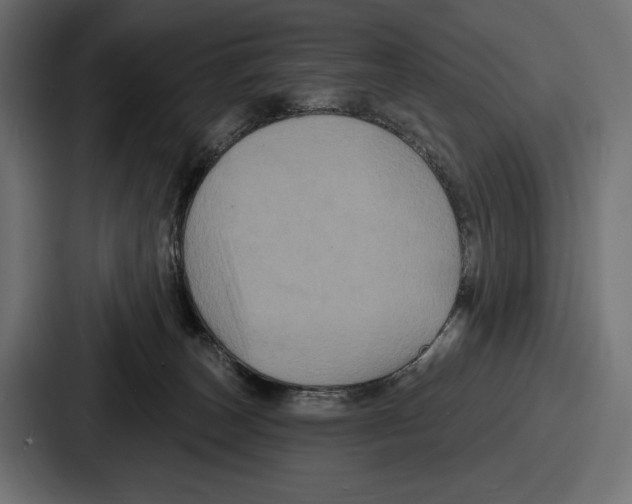 X0000086730179200705111622