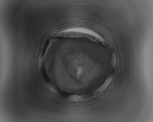 X0000086730180200705111622