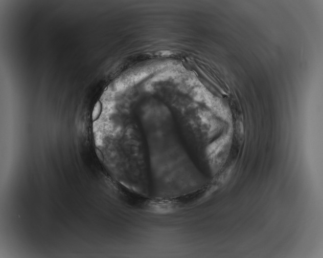 X0000086730181200705111622