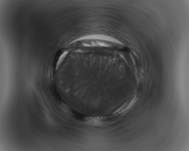 X0000086730182200705111622
