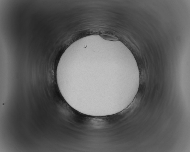 X0000086730183200705111622