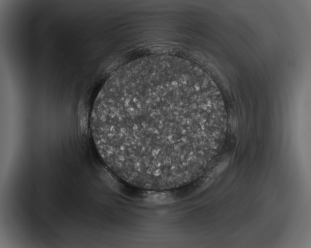 X0000086730185200705111622