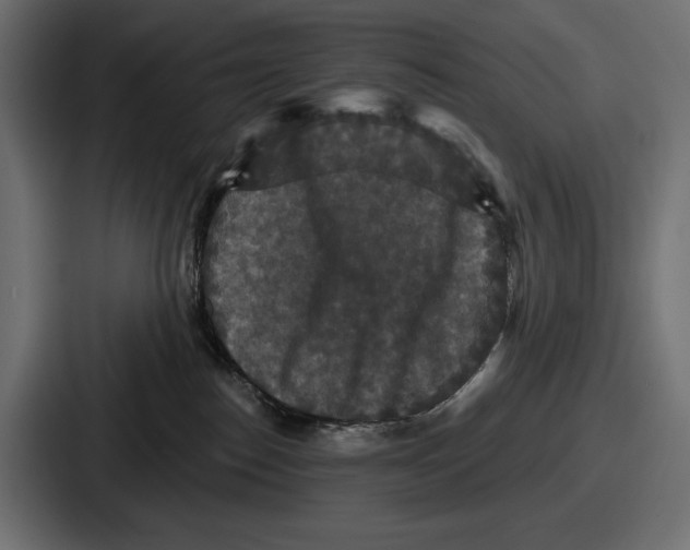 X0000086730186200705111622