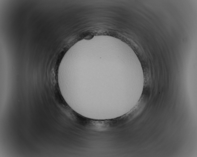 X0000086730187200705111622