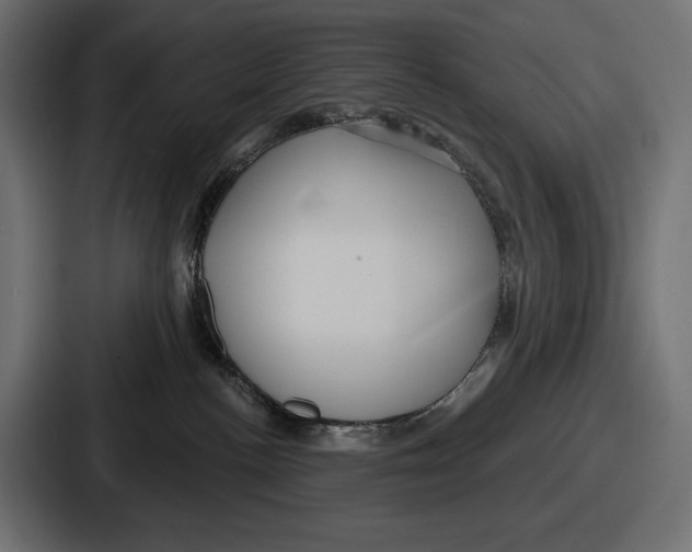 X0000086730188200705111622