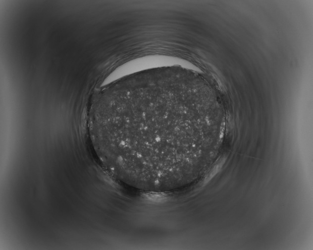 X0000086730189200705111622