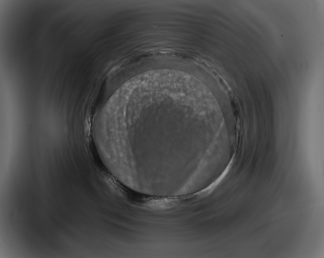 X0000086730190200705111622