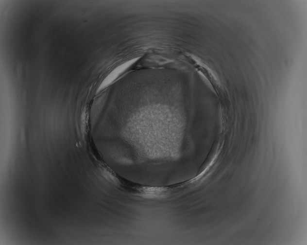 X0000086730192200705111622