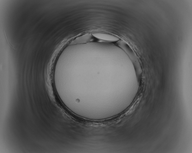 X0000086730193200705111622
