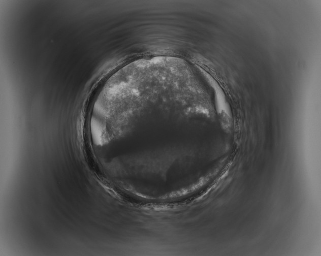 X0000086730194200705111622