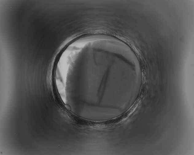 X0000086730196200705111622