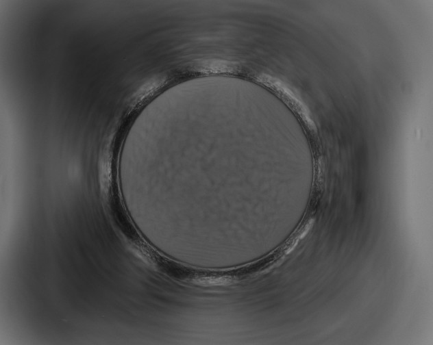 X0000086730202200705111622