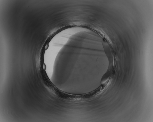 X0000086730204200705111621