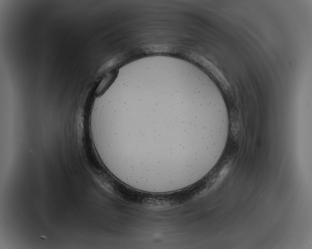X0000086730207200705111621