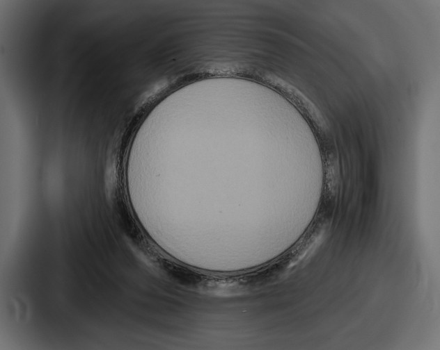 X0000086730208200705111621