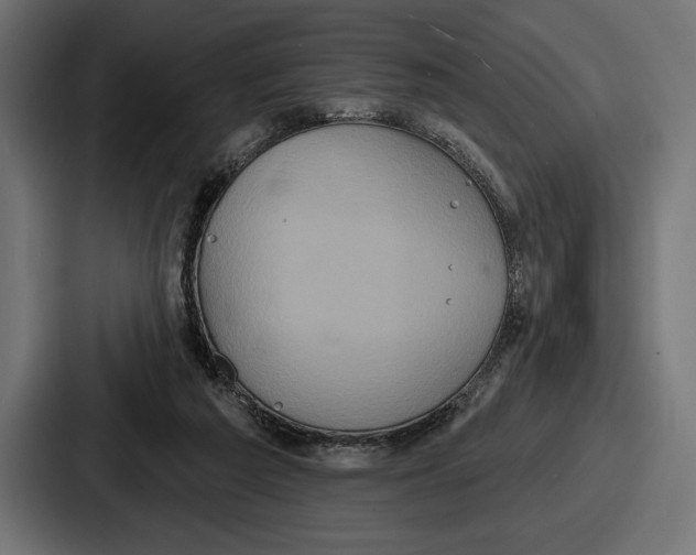 X0000086730209200705111621