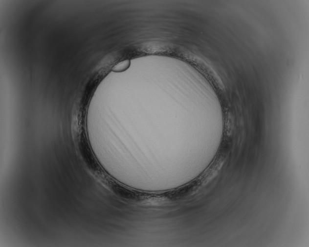 X0000086730210200705111621