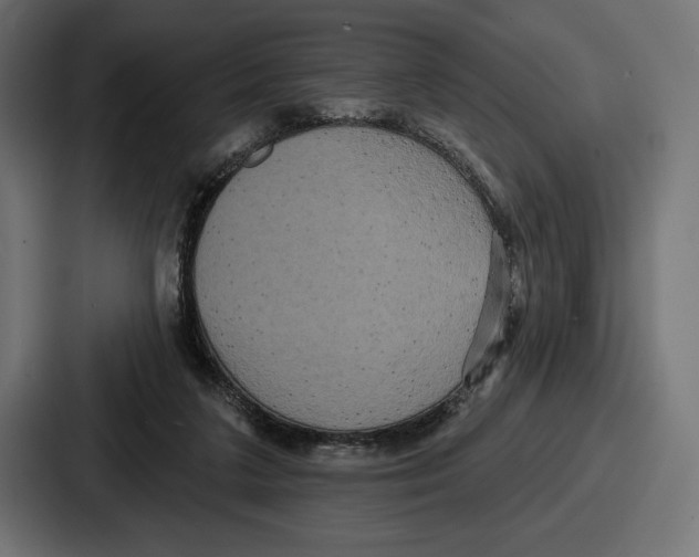 X0000086730211200705111621