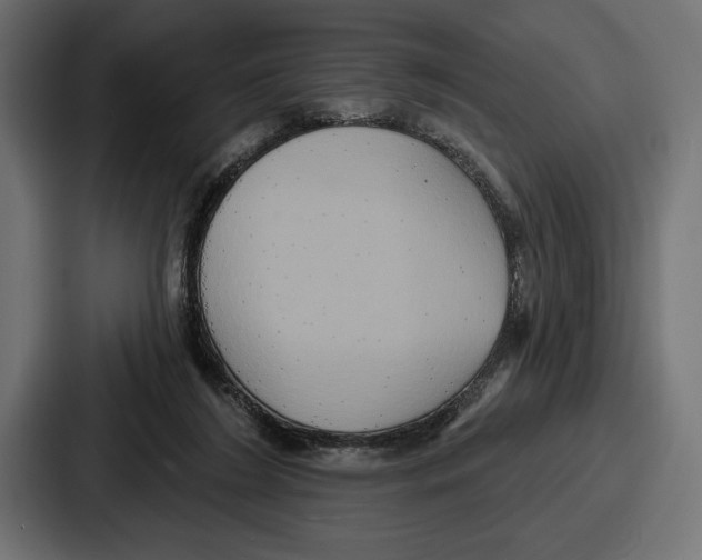 X0000086730212200705111621