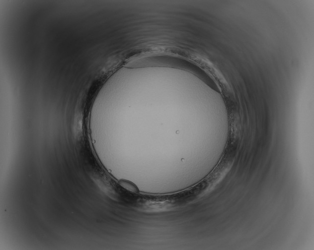 X0000086730213200705111621