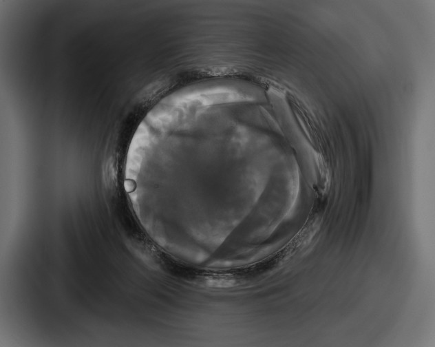 X0000086730214200705111621