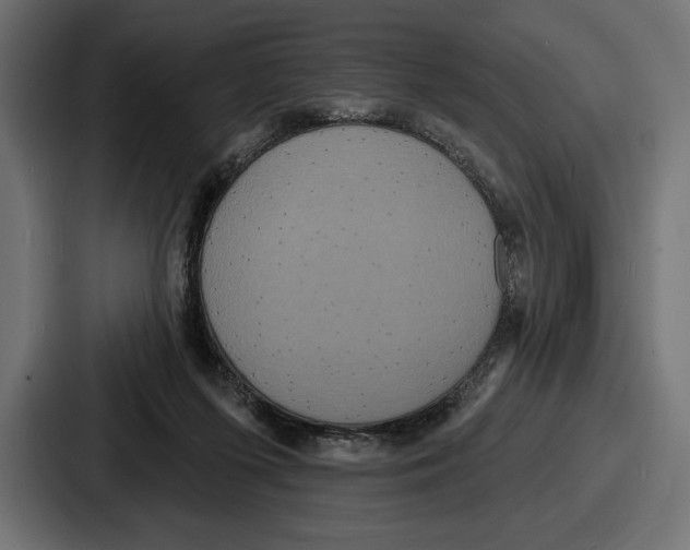 X0000086730215200705111621