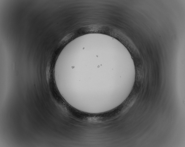 X0000086730216200705111621