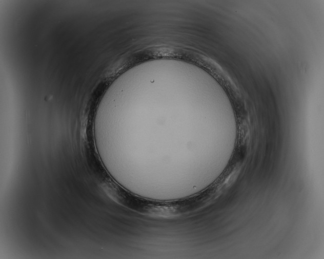 X0000086730217200705111621