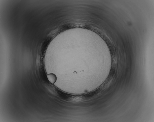 X0000086730218200705111621