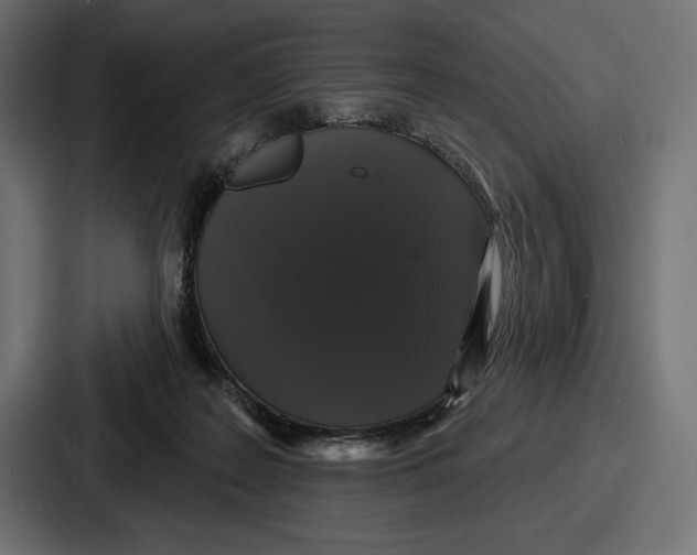 X0000086730219200705111621