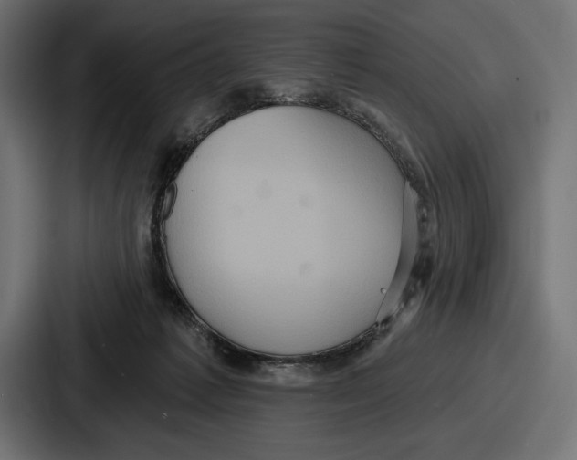 X0000086730221200705111621