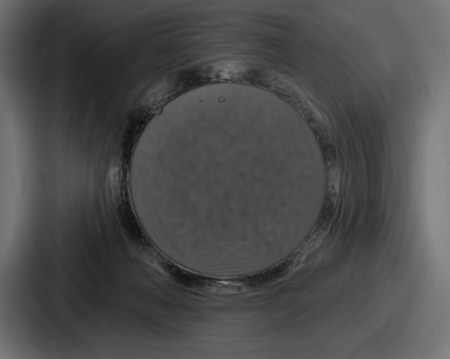 X0000086730222200705111621